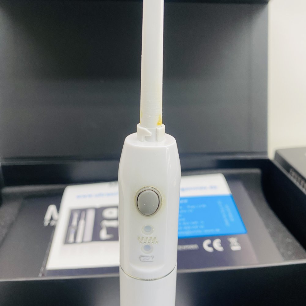 Personal Ultrasonic Toothbrush Megasonex M8 Ultrasound Charger 5x Brush Heads